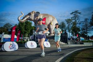 BIB: 
                            <button type="button" onclick="openModal(26541742)" class="btn btn-primary btn-sm float-right btn-popup" data-toggle="modal" data-target=".modal-high-quality">
                        <i class="fas fa-shopping-cart"></i> Add to Cart
                    </button>
                                            <button type="button" onclick="isThisMe(26541742, true)" class="btn btn-success btn-sm float-right btn-popup btn-isme hidden" data-toggle="tooltip" data-placement="bottom" title="นี่คือรูปของคุณใช่ไหม คลิกที่นี่เพื่อเอาเข้าอัลบั้ม">
                        <i class="fas fa-plus"></i> Add to album
                    </button>
                    <button type="button" onclick="isThisMe(26541742, false)" class="btn btn-warning btn-sm float-right btn-popup btn-isnotme hidden">
                        <i class="fas fa-ban"></i> Remove from album
                    </button>